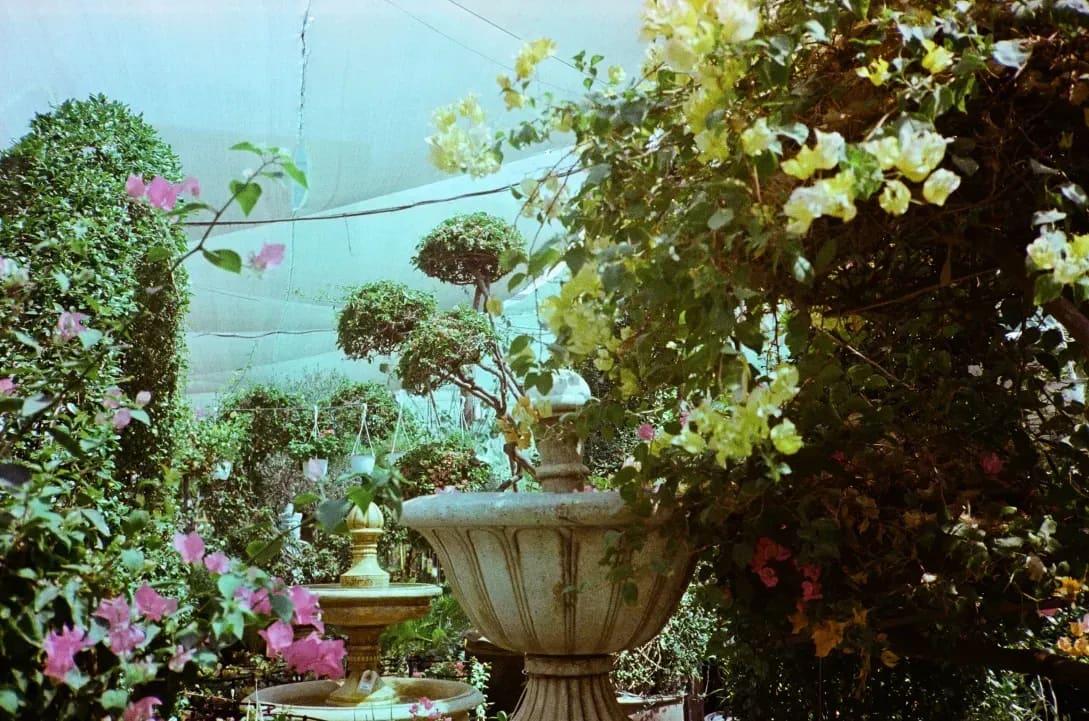 Jardin Harmonie 14