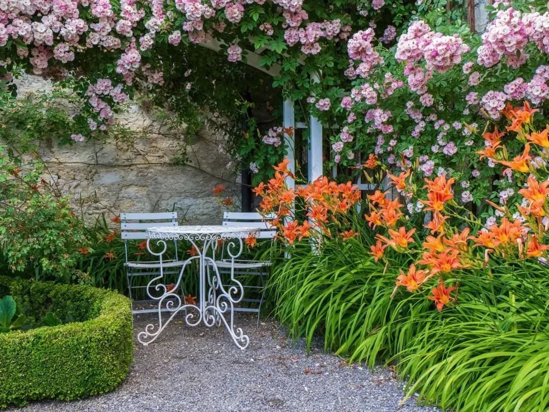 Jardin Harmonie 2