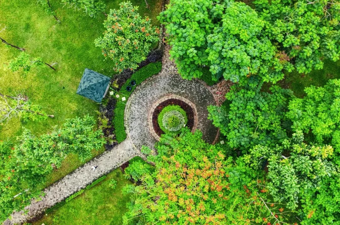 Jardin Harmonie 8