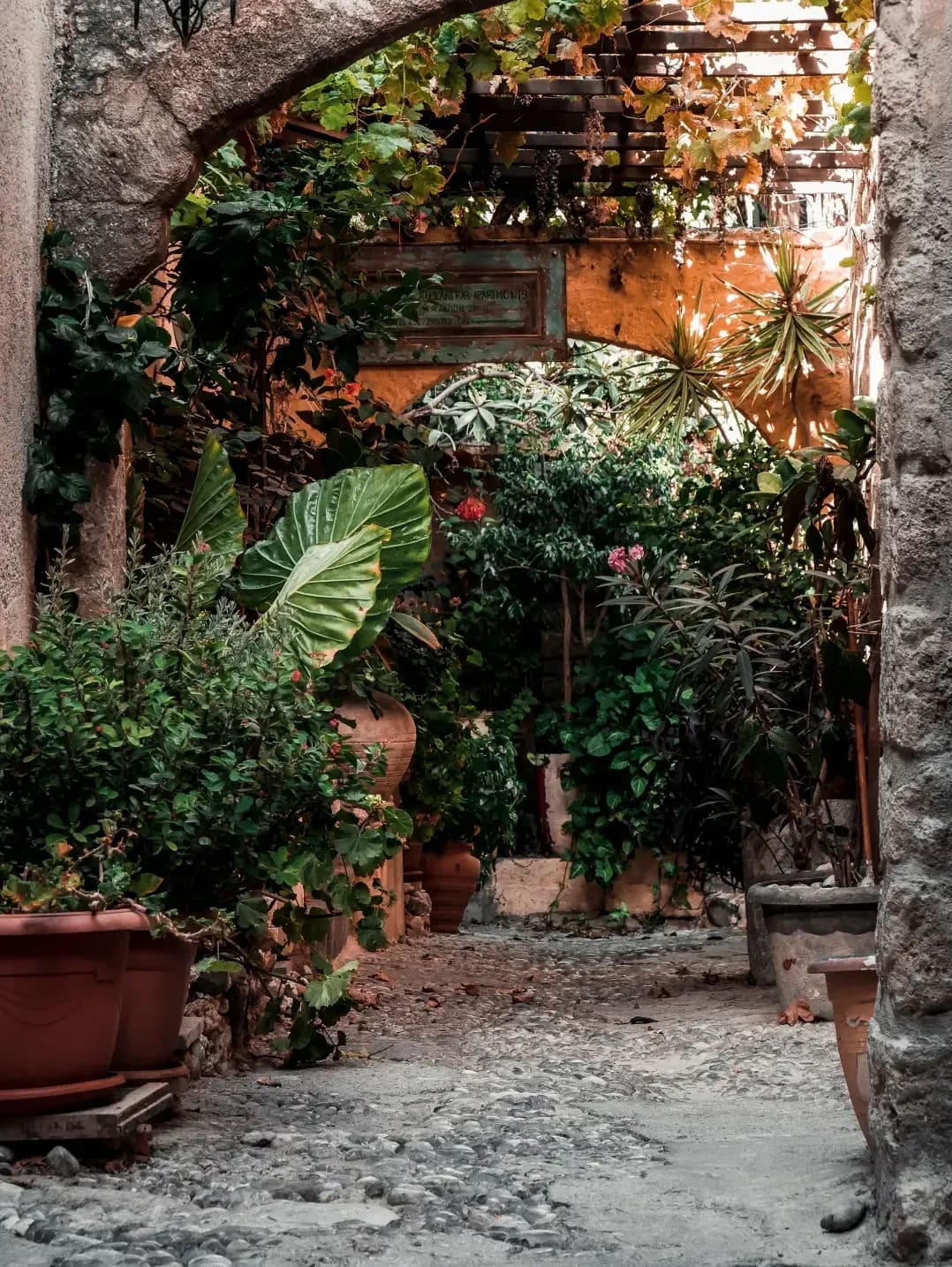 Jardin Harmonie 9