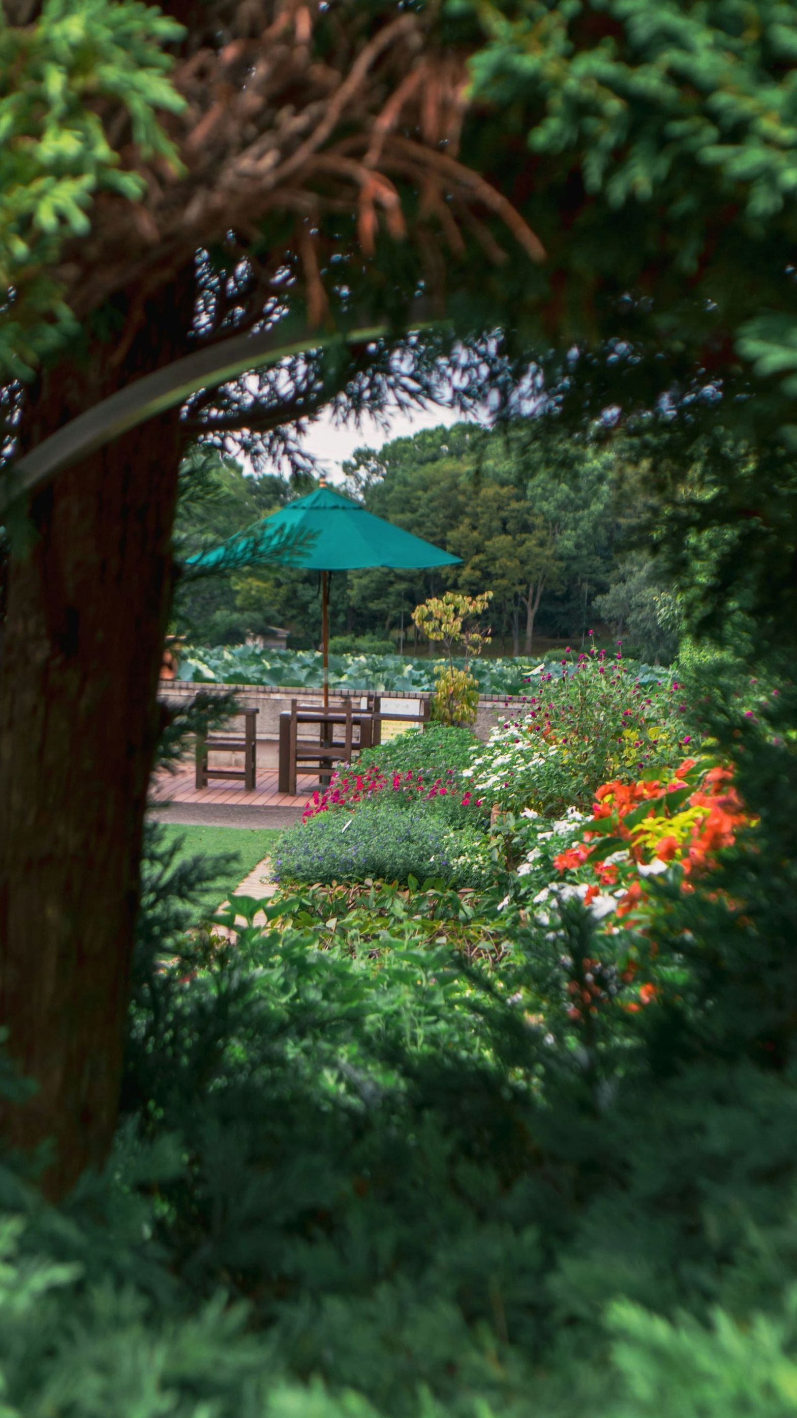 Jardin Harmonie